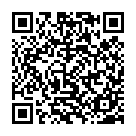 QR code for H66407