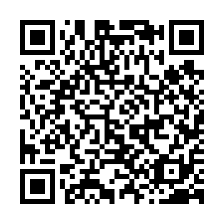 QR code for H66611
