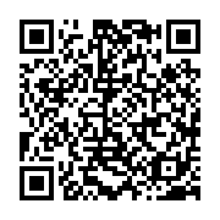 QR code for H68211