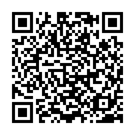 QR code for H69311