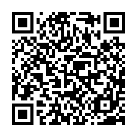 QR code for H70217
