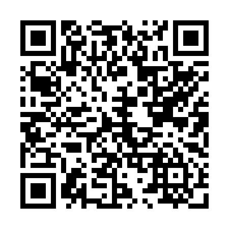 QR code for H70295
