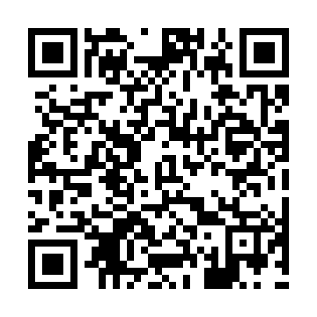 QR code for H70387