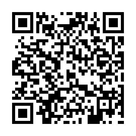 QR code for H74393