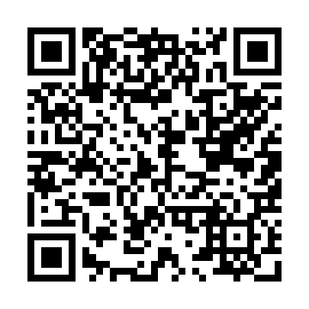 QR code for H75228