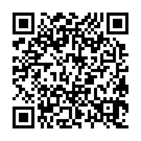QR code for H77385