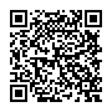 QR code for H78817
