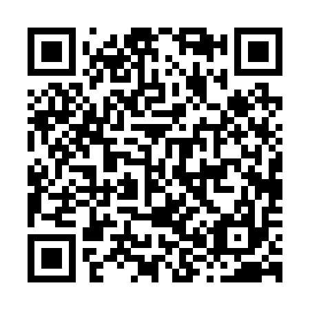 QR code for H80217