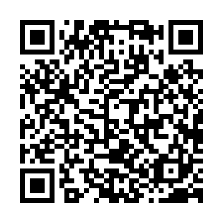 QR code for H80223