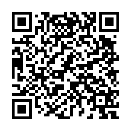 QR code for H80424