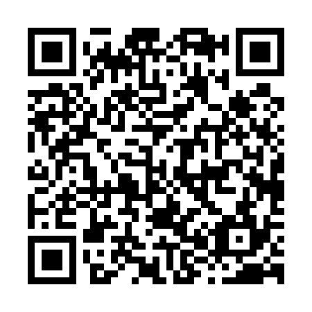QR code for H80534
