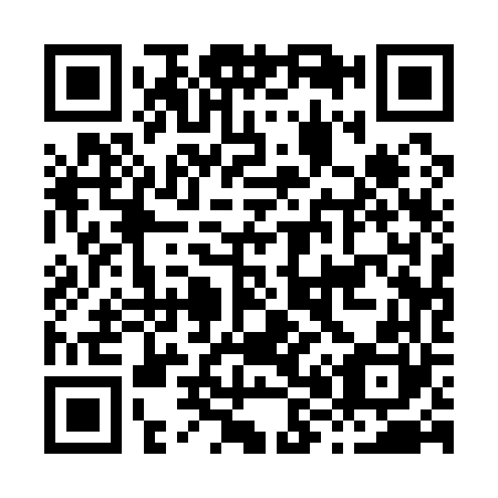 QR code for H81160