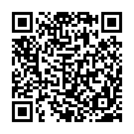 QR code for H81296
