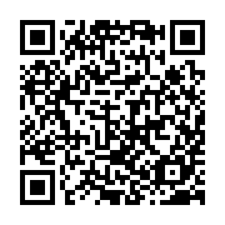 QR code for H81385