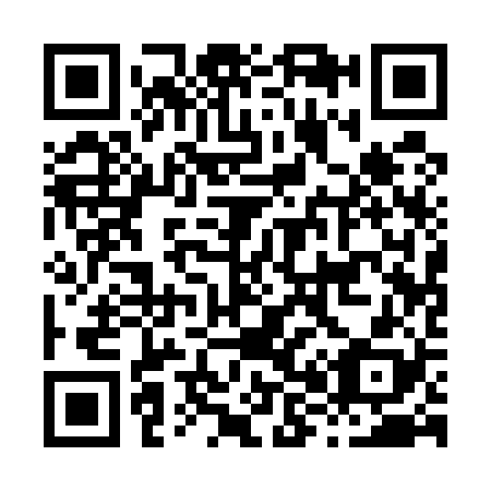 QR code for H81528