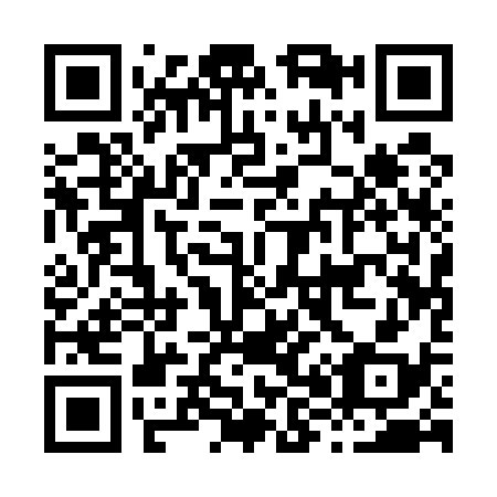 QR code for H81538