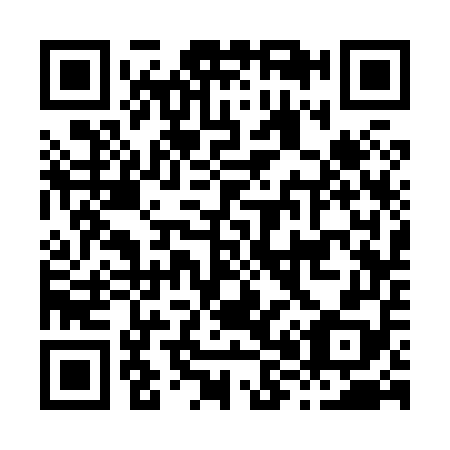 QR code for H83858