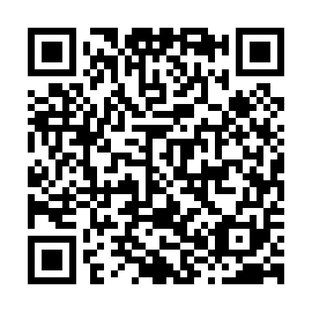 QR code for H85051