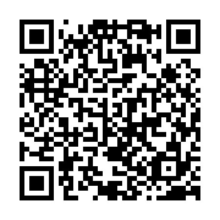 QR code for H85132