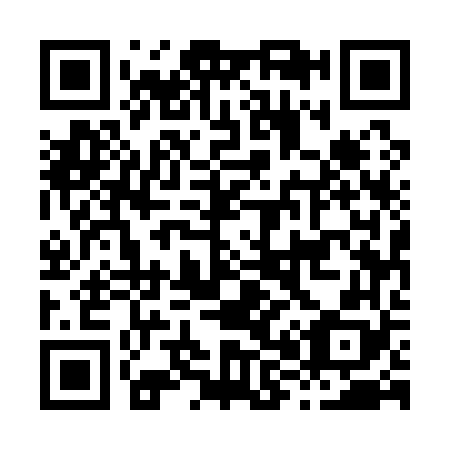 QR code for H85168