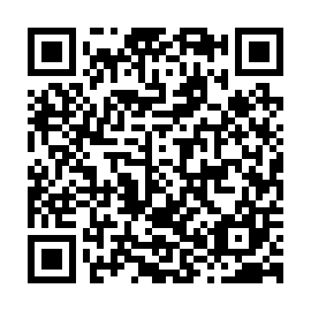 QR code for H85207