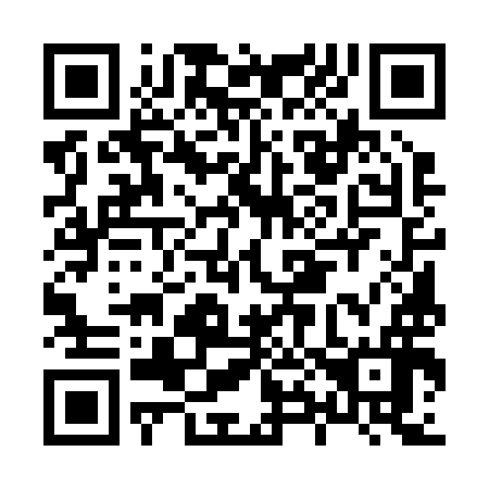 QR code for H85296