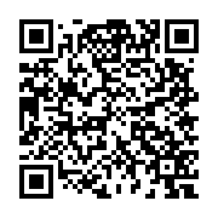 QR code for H85577