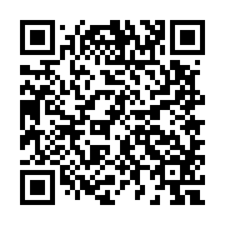 QR code for H85586