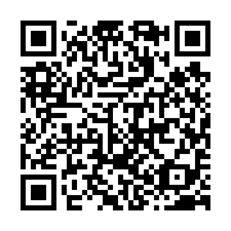 QR code for H85699