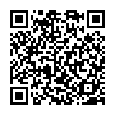 QR code for H86161