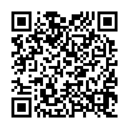 QR code for H86317