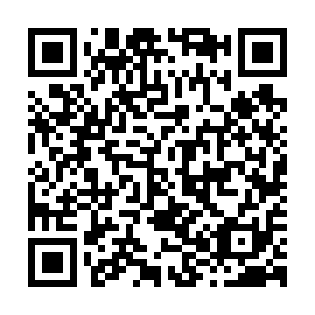 QR code for H86611