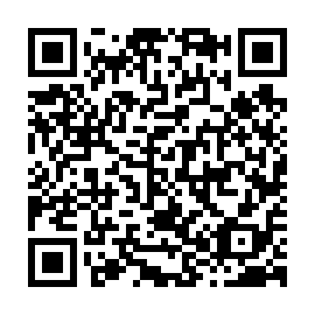 QR code for H86618