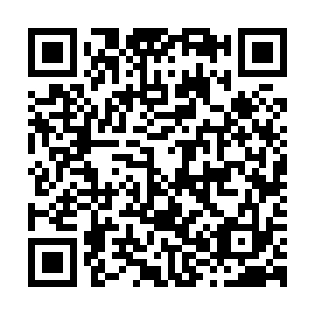 QR code for H86833