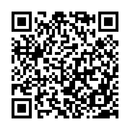 QR code for H87066