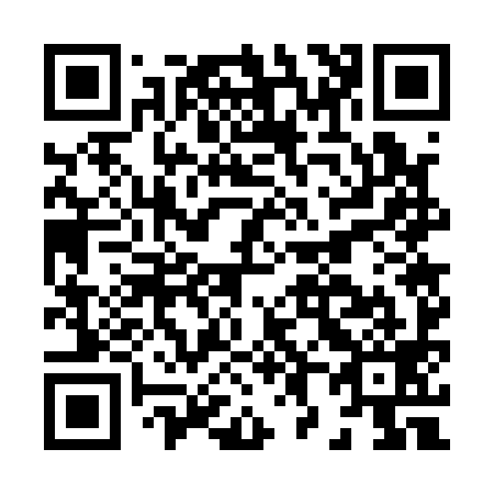 QR code for H87199