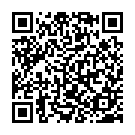 QR code for H87302