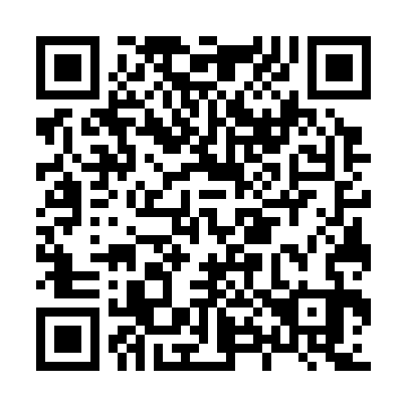 QR code for H87333