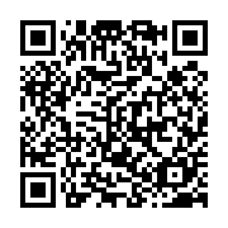 QR code for H87505