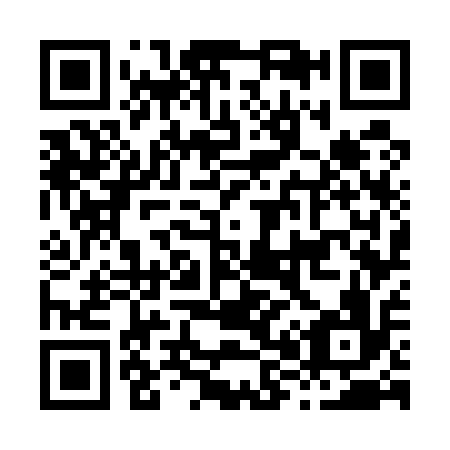 QR code for H87516