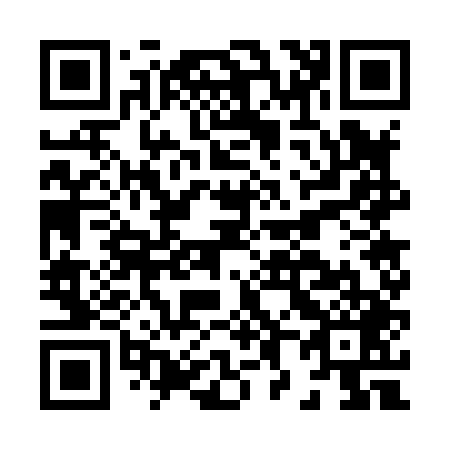 QR code for H87849