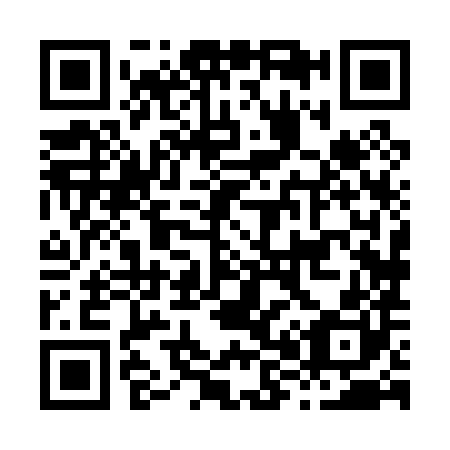 QR code for H88080
