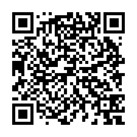 QR code for H88238