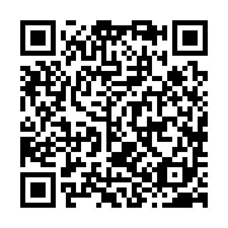 QR code for H88391