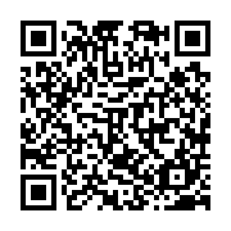 QR code for H88704