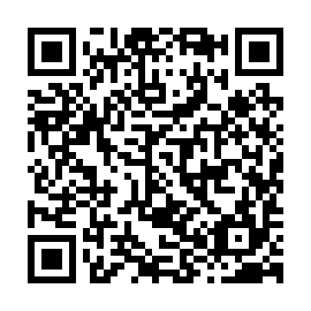 QR code for H89294