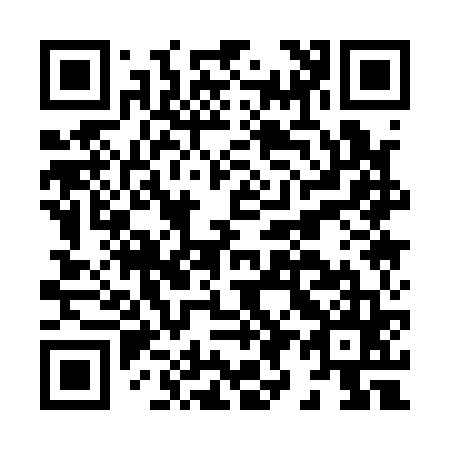 QR code for H91165