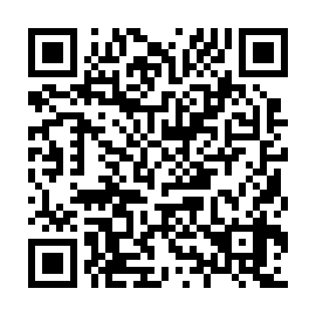 QR code for H91238