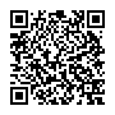 QR code for H91239
