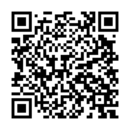 QR code for H92063